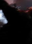 img_0122k.jpg