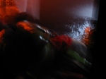 img_0123k.jpg