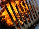 img_0152k.jpg