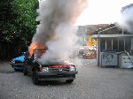 img_0248.jpg