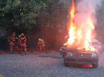 img_0254.jpg