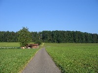 tour_1_01_-0006.jpg