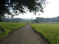 tour_1_01_-0011.jpg