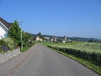 tour_1_01_-0029.jpg