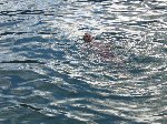 wns050720-0016.jpg