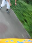 wns_26.jpg