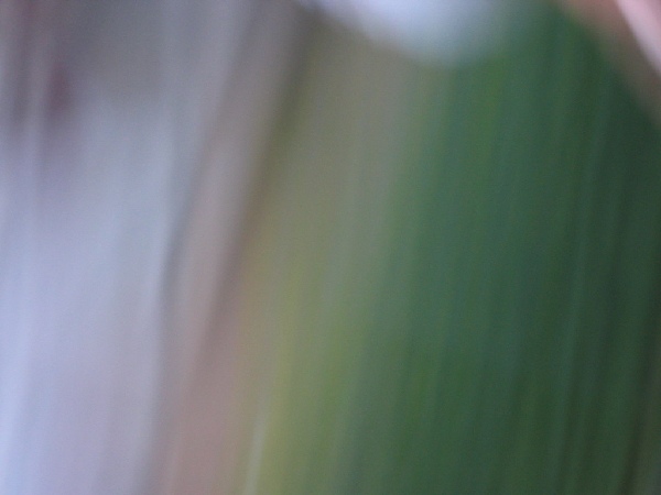 wns_040428_094k.jpg