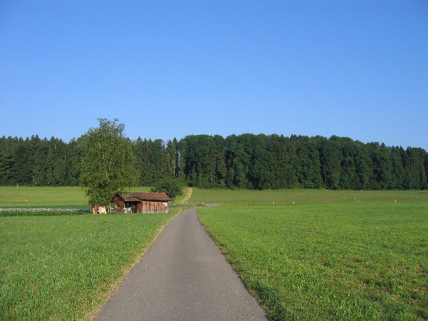 tour_1_01_-0006.jpg