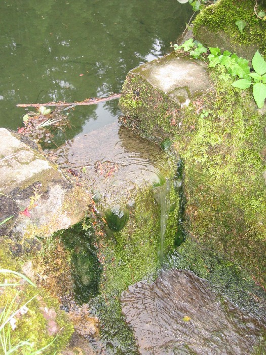 msk_059.jpg
