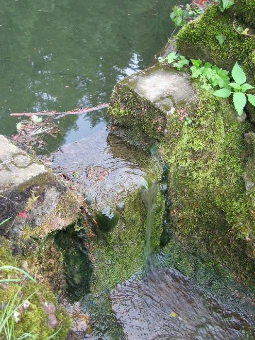 msk_060.jpg