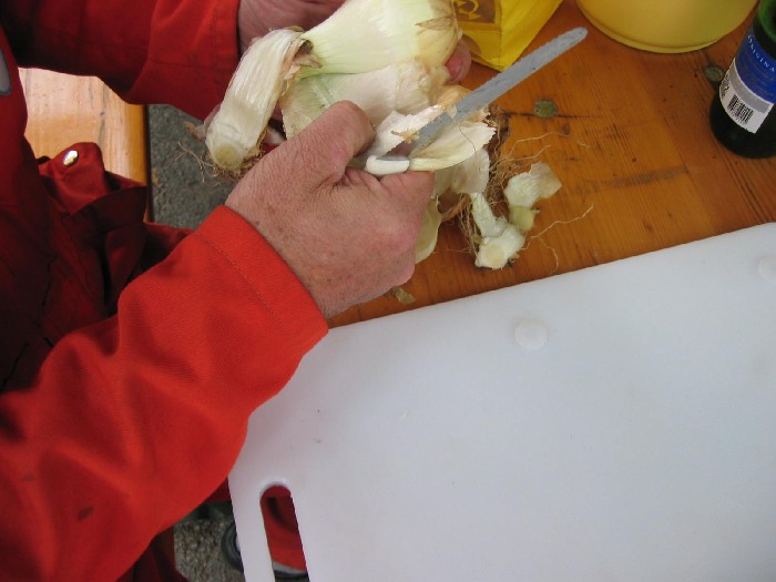 msk_213.jpg