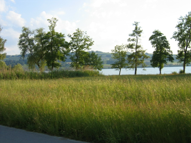 sempach_-0047.jpg