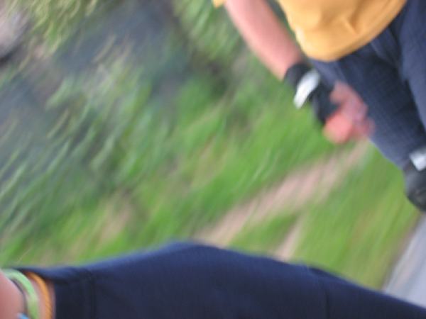 wns_54.jpg